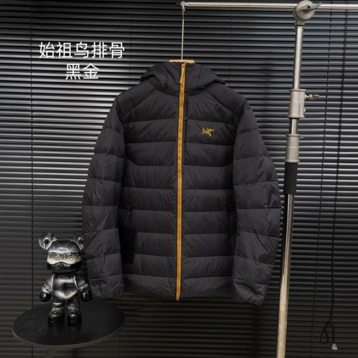 Picture of Arcteryx Down Jackets _SKUArcteryxS-2XLxetr3338026